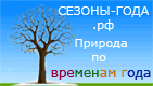 Сезоны года