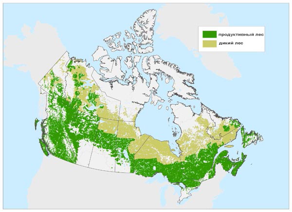 карта лесов Канады