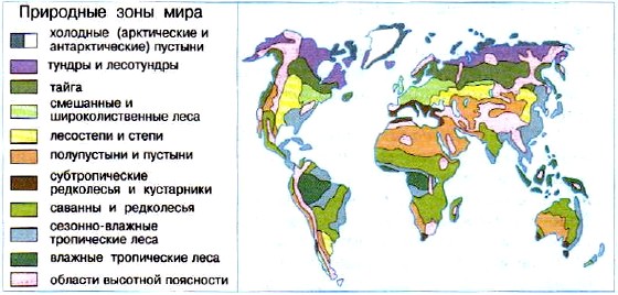 природные зоны Земли схема