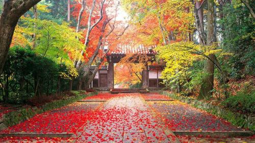 Япония осенью