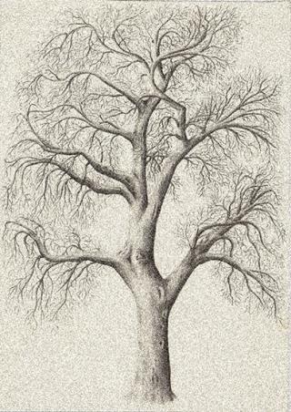 Сухостойное дерево