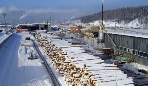 лесозаготовительный комплекс в Сибири