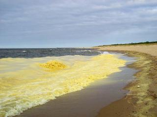 Жёлтое море