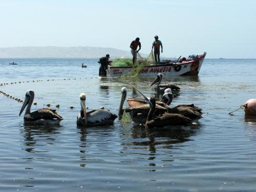 Перуанские рыбаки