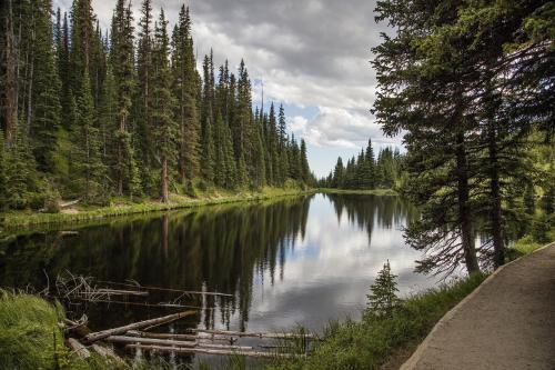 Орегон, США, леса