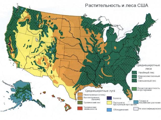 карта растительности и лесов США
