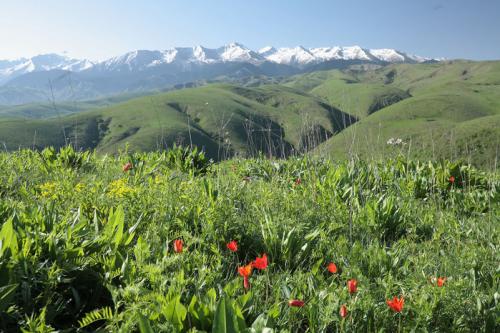 Весна в Казахстане