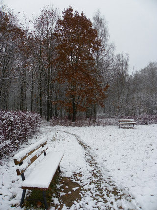 скамейка в снегу