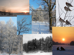 фотографии зимы