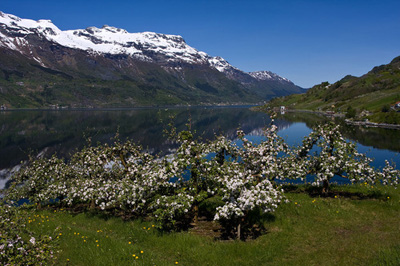 Норвегия весной