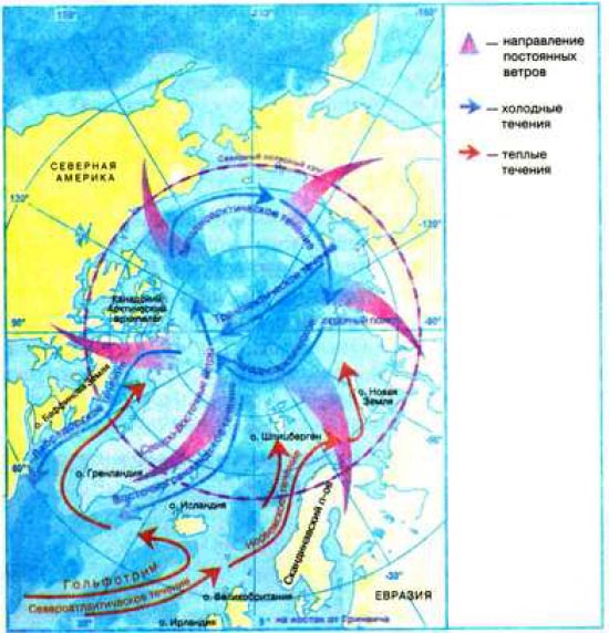 Холодное течение северо ледовитого океана. Течения Северного Ледовитого океана на карте. Важнейшие течения Северного Ледовитого океана. Теплые течения Северного Ледовитого океана. Течения Северного Ледовитого океана теплые и холодные на карте.