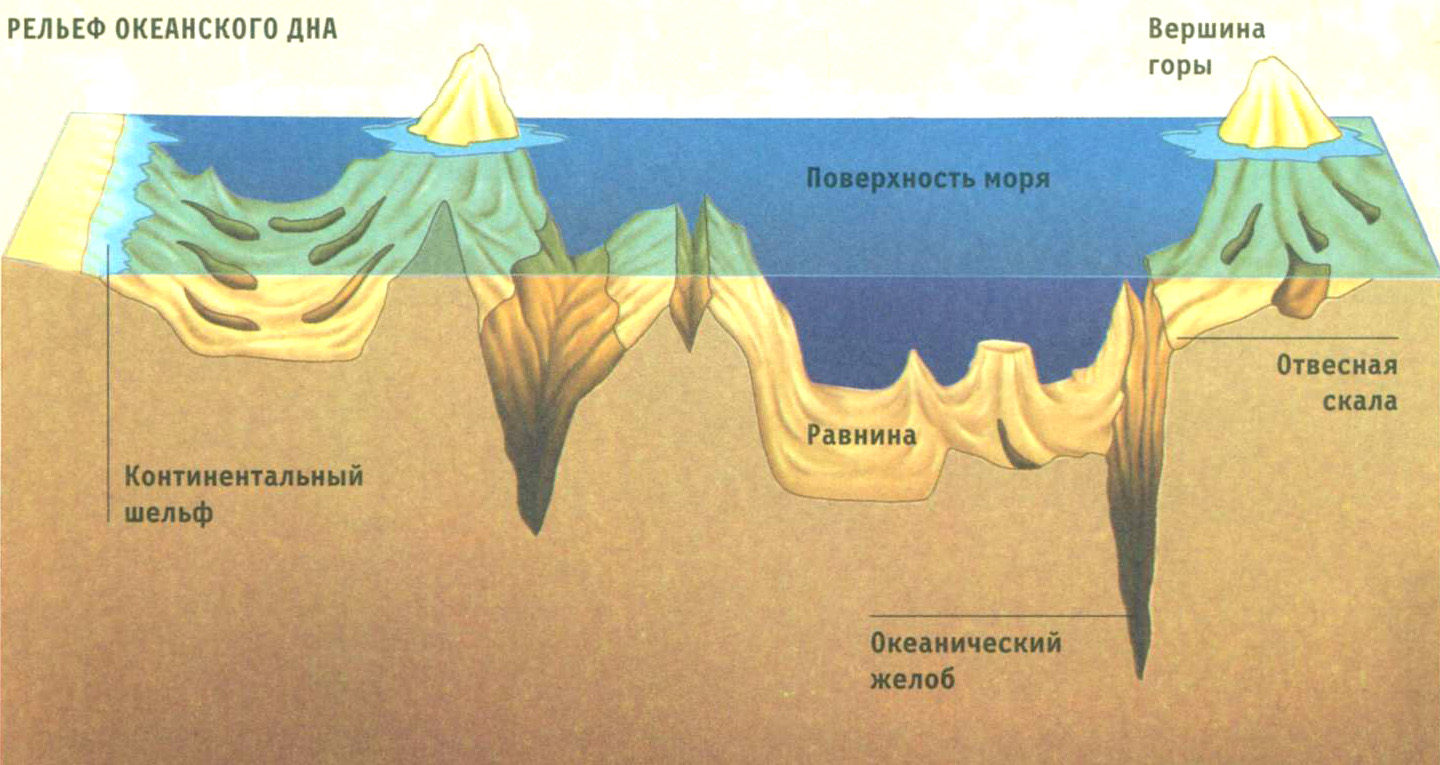 Рельеф дна мирового океана схема