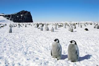 климат Антарктиды