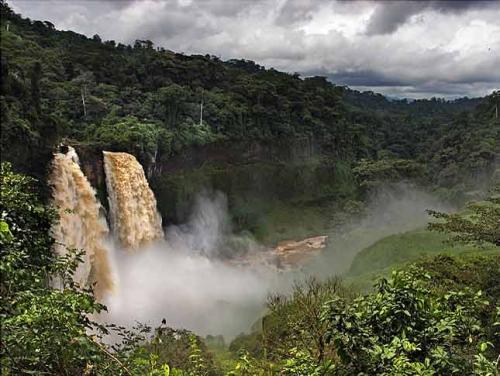 лес и водопад в Камеруне