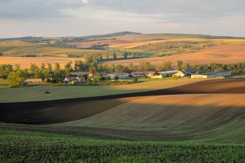сельскохозяйственные поля в Чехии