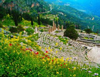 Отметьте растения которые выращивали жители греции