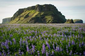 природа Исландии