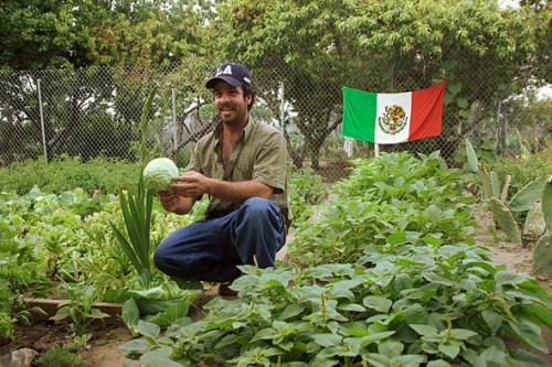 фермер в Мексике