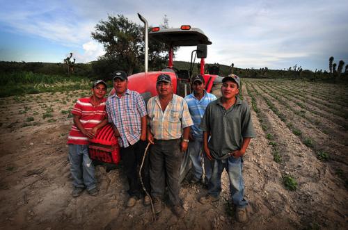 фермерское хозяйство в Мексике