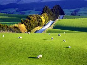 промышленность и сельское хозяйство Новой Зеландии