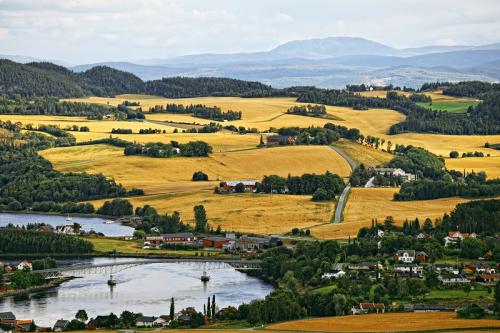 Выращиваемые сельскохозяйственные культуры в норвегии