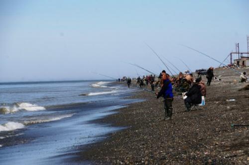ловля рыбы на берегу Охотского моря