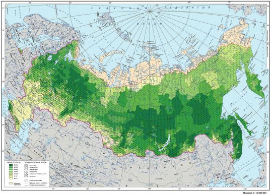 карта лесных зон России