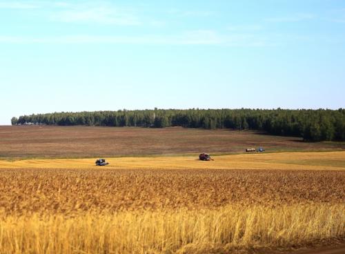 сельское хозяйство Восточной Сибири