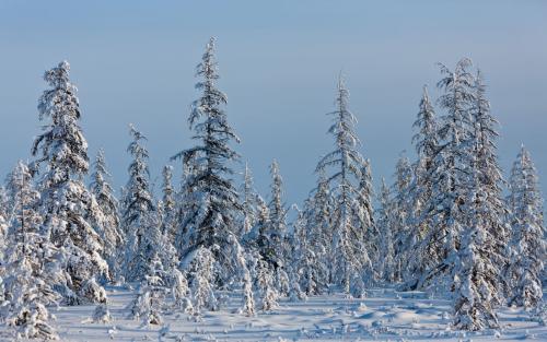 зима в Якутии