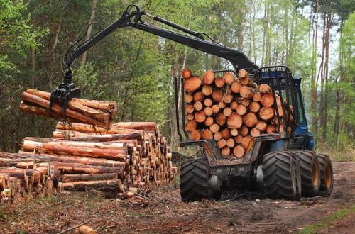 освоение лесных ресурсов