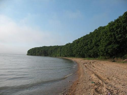 пологий берег озера Ханка
