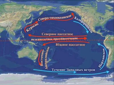 течения Тихого океана