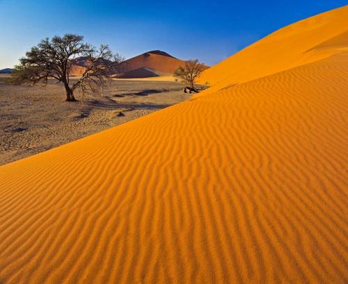 песчаная пустыня