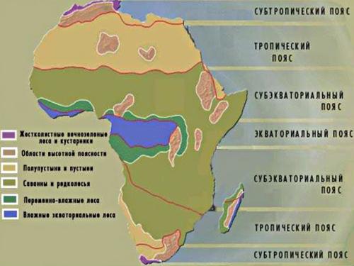 схема расположения лесов Африки по климатическим поясам