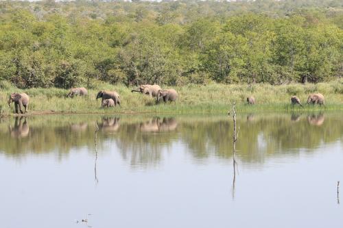 Национальный парк Крюгера, ЮАР