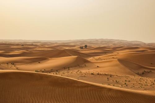 пустыня в Африке