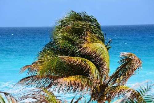 ветер на Карибском море