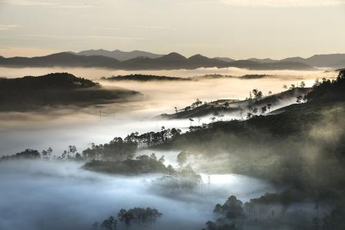 туманный пейзаж, горы Вьетнама